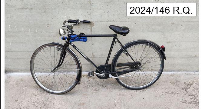 146/2024